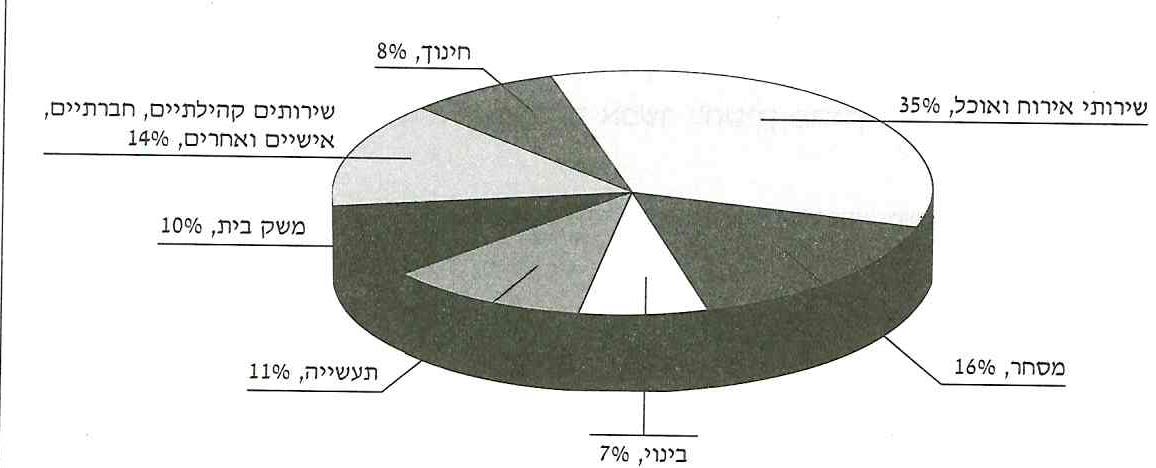 (בספר תמונה של גרף עוגה של בני נוער עובדים לפי ענף כלכלי.)
